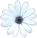 leaves15.png