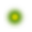 firefly.png