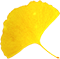 leaves14.png