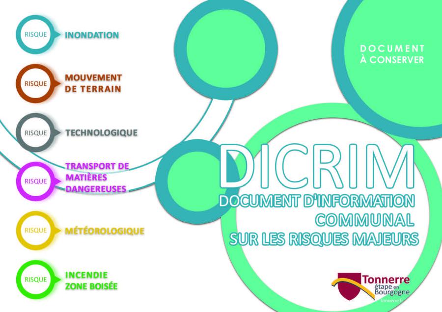 dicrim_page_01.jpg