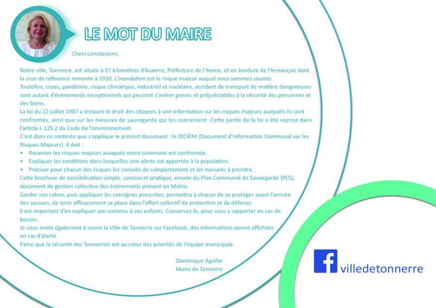 dicrim_page_02.jpg